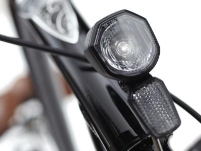 Electra Townie Go! 5i Step Over EU 26 Ebony Produktbild 16