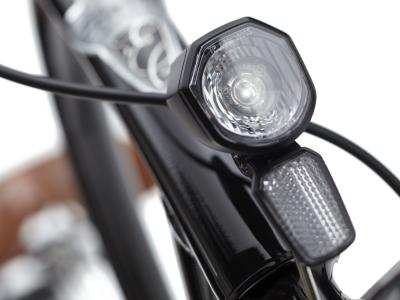 Electra Townie Go! 5i Step Thru EU 26 Ebony Produktbild 17