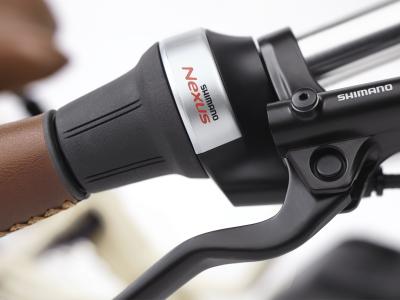 Electra Townie Commute Go! 5i Step Thru EU M Cream Produktbild 19