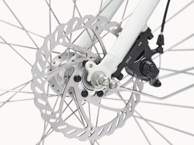 Electra Loft Go! 7D Step Thru EU M Stardust Produktbild 20