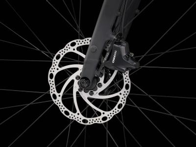 Trek Dual Sport 2 SO L Keswick Produktbild 5