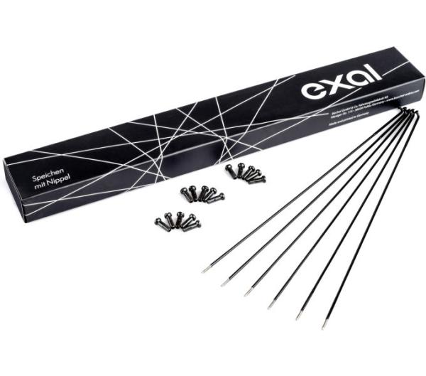 Exal SPEICHE 2MM,GLATT,SCHW,286MM,100ST