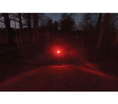 AXA R&uuml;cklicht Juno E-Bike Signal 80 Produktbild 4