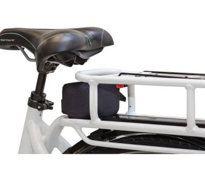 Longus LONGUS ELECTRIC-CAP BM-E6000 VERSION GEPÄCKTRÄGER Produktbild 1